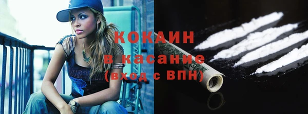 гидра Гусь-Хрустальный