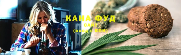 гидра Гусь-Хрустальный
