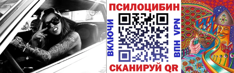 Псилоцибиновые грибы Cubensis  где купить наркотик  Омутнинск 
